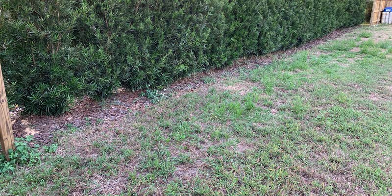 Camper submitted image from Camp Lake Minnehaha