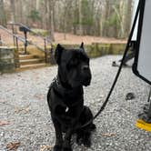 Review photo of Cloudland Canyon State Park Campground by Casey L., February 16, 2023