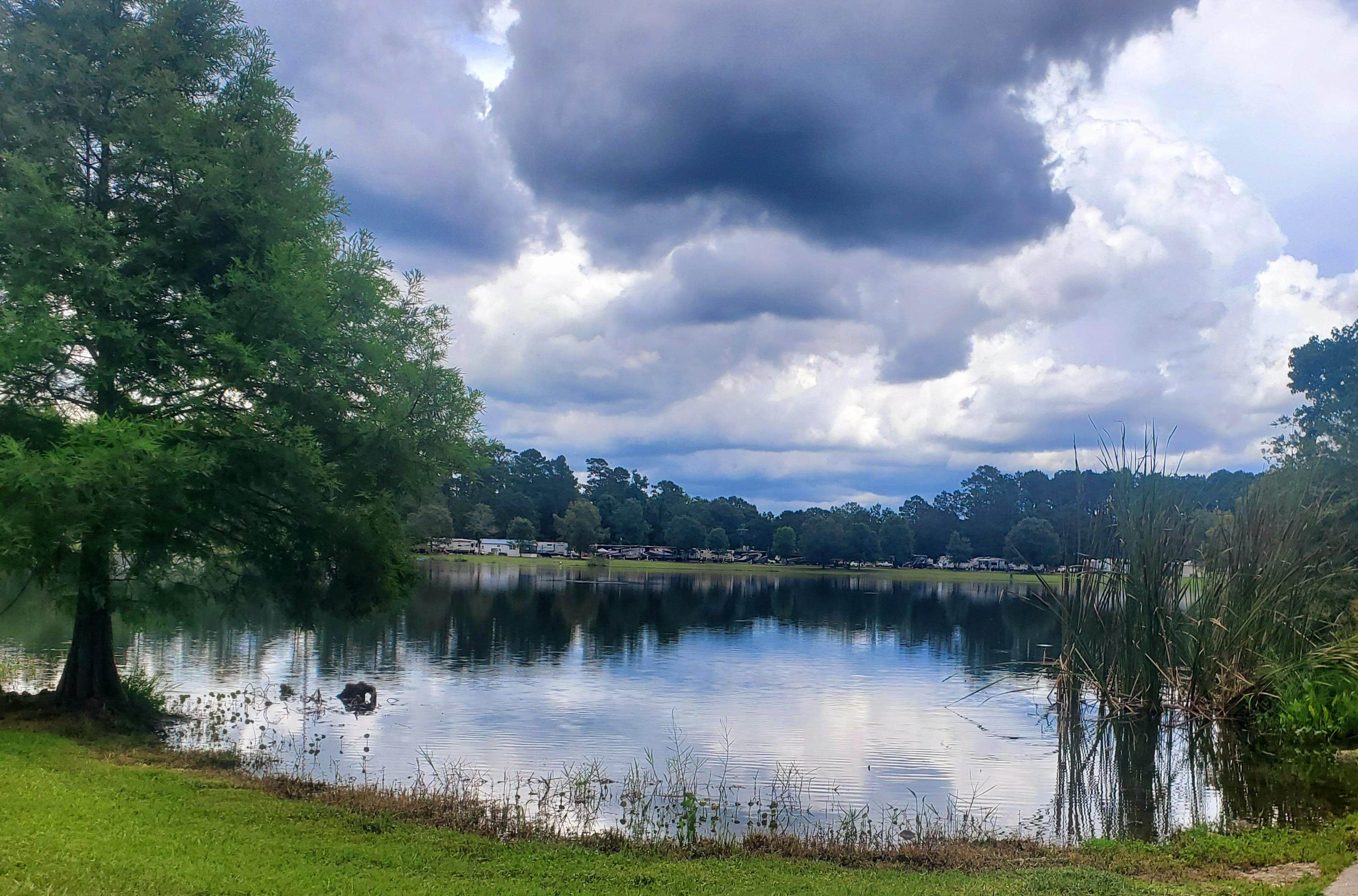 RJourney R.'s photo of camping with pets at Lakeside RV Resort near Prairieville, LA