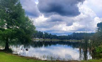 RJourney R.'s photo of camping with pets at Lakeside RV Resort near Denham Springs, LA