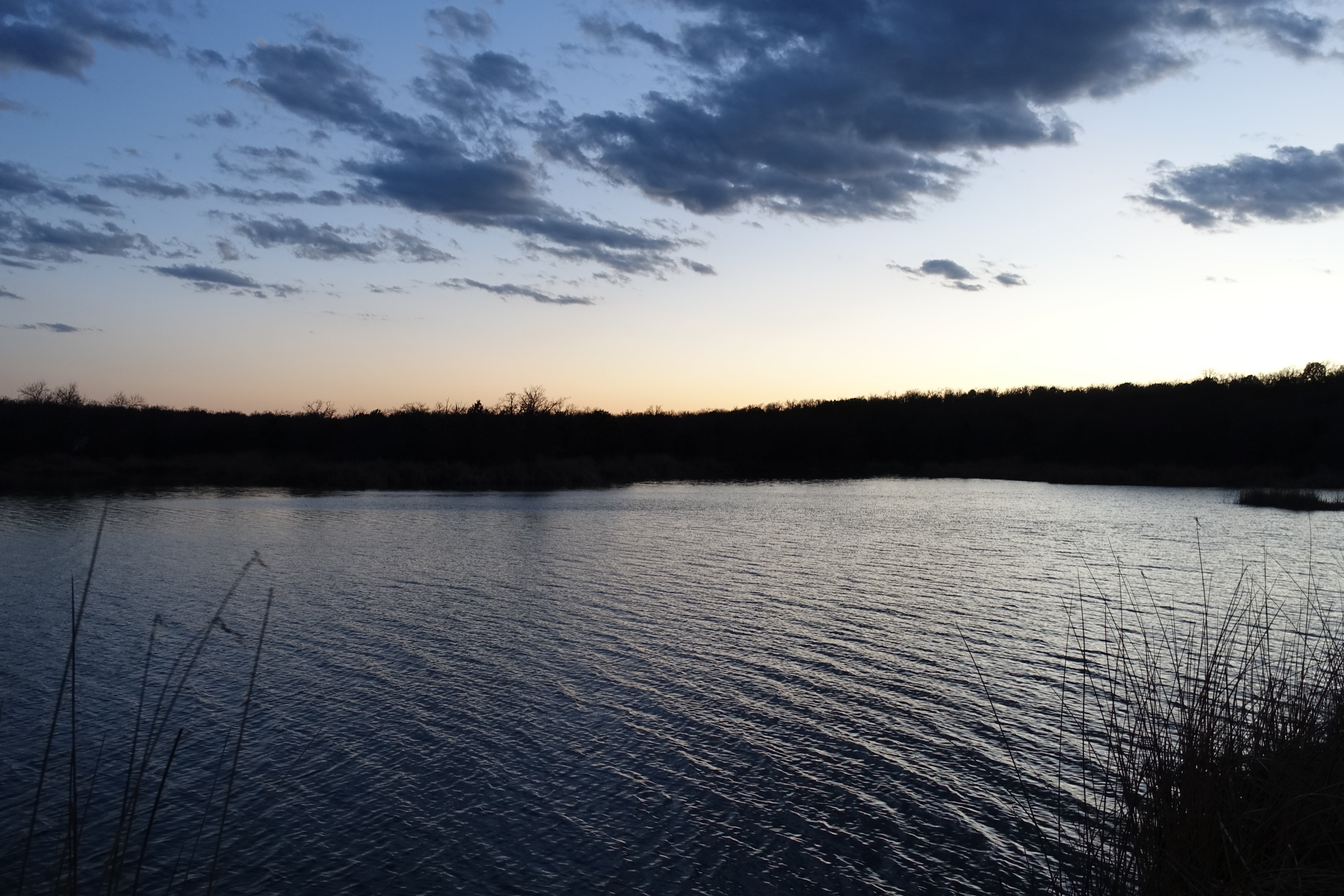 Camper submitted image from Plateau — Lake Mineral Wells State Park - 3