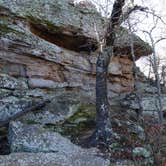 Review photo of Plateau — Lake Mineral Wells State Park by Chris K., September 30, 2018