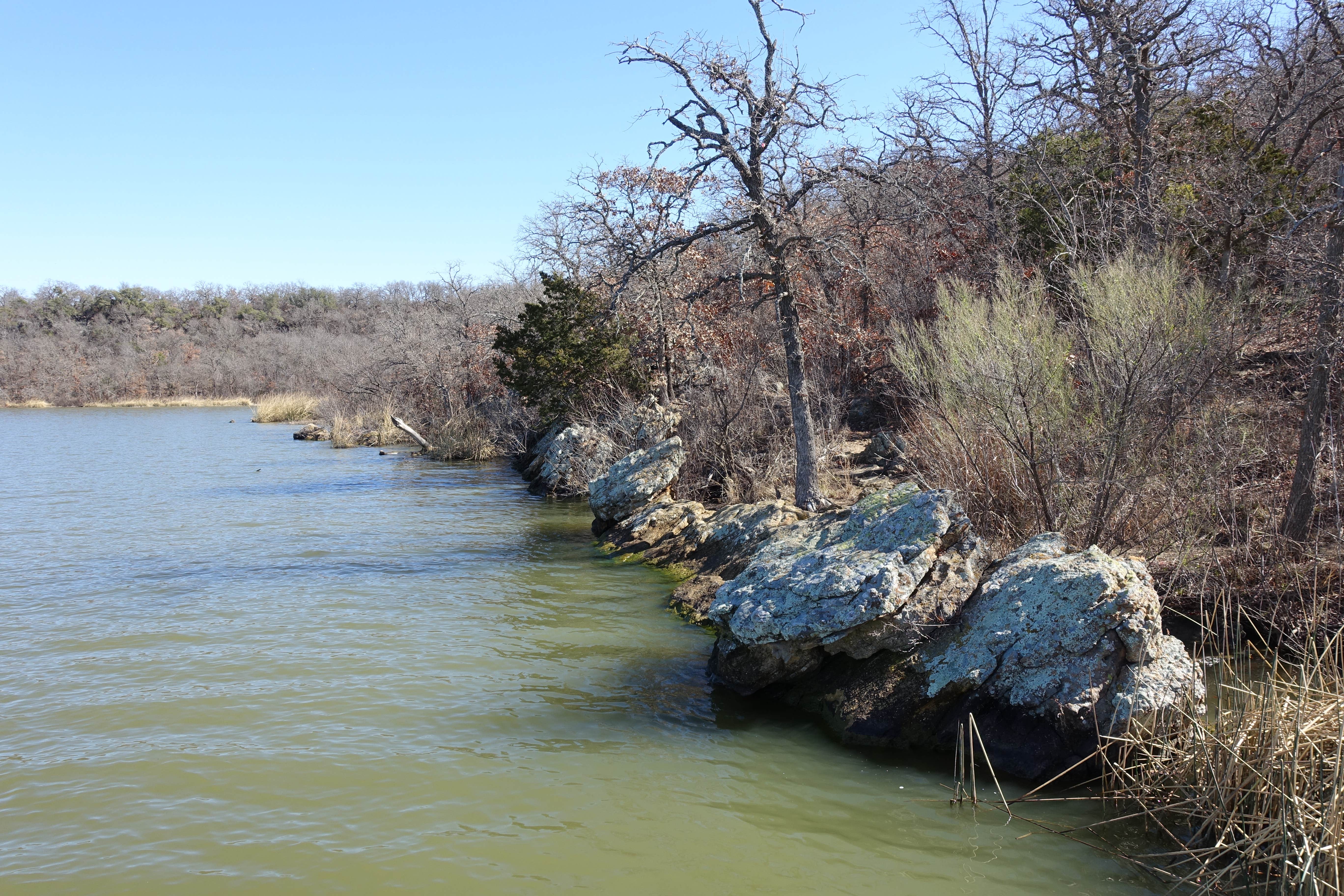 Camper-submitted photo at Plateau — Lake Mineral Wells State Park near Weatherford, TX