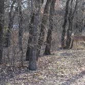 Review photo of Plateau — Lake Mineral Wells State Park by Chris K., September 30, 2018