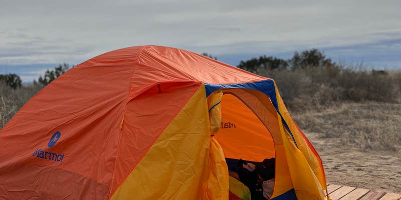 Camper submitted image from Star Gazer Ranch