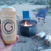 Review photo of Borrego Palm Canyon Campground — Anza-Borrego Desert State Park by Ryan W., February 21, 2023