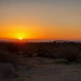 Review photo of Borrego Palm Canyon Campground — Anza-Borrego Desert State Park by Ryan W., February 21, 2023