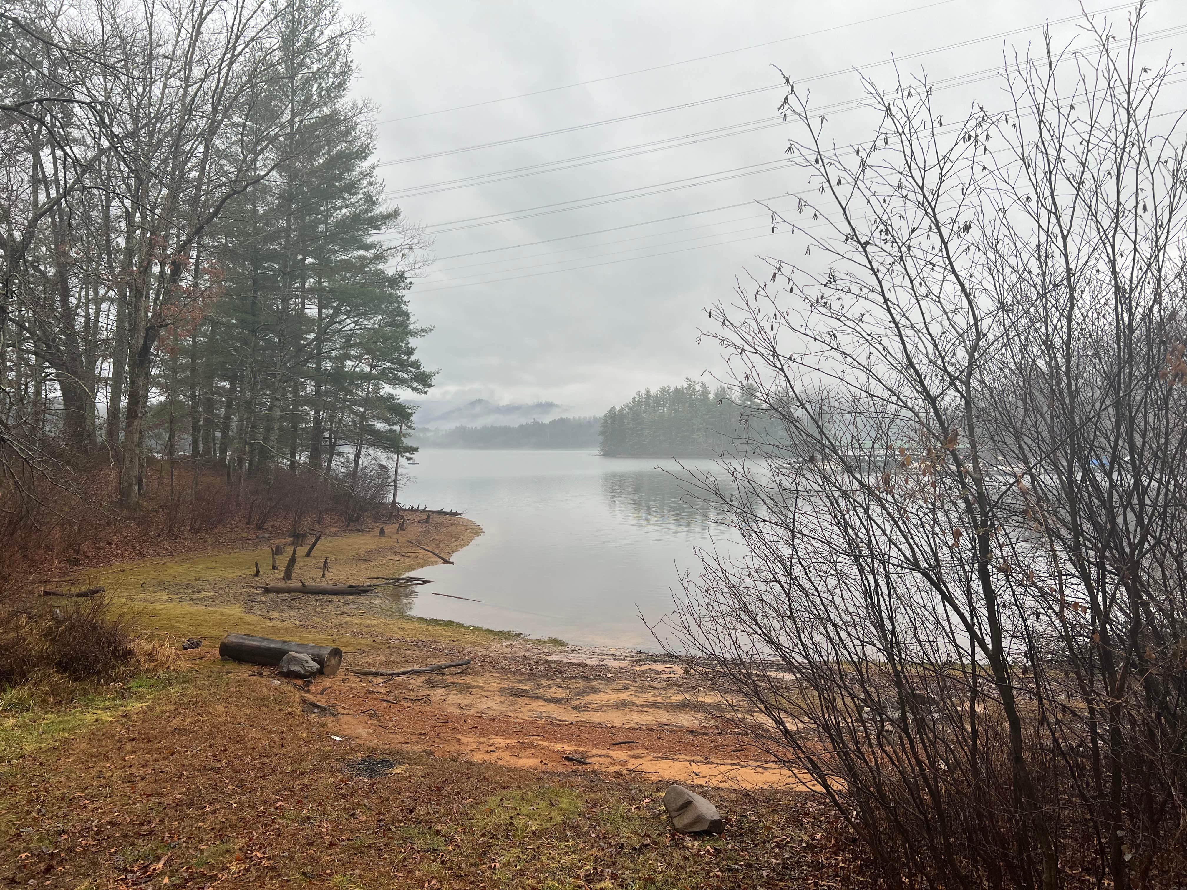 Camper submitted image from Santeetlah Lake Primitive - 2