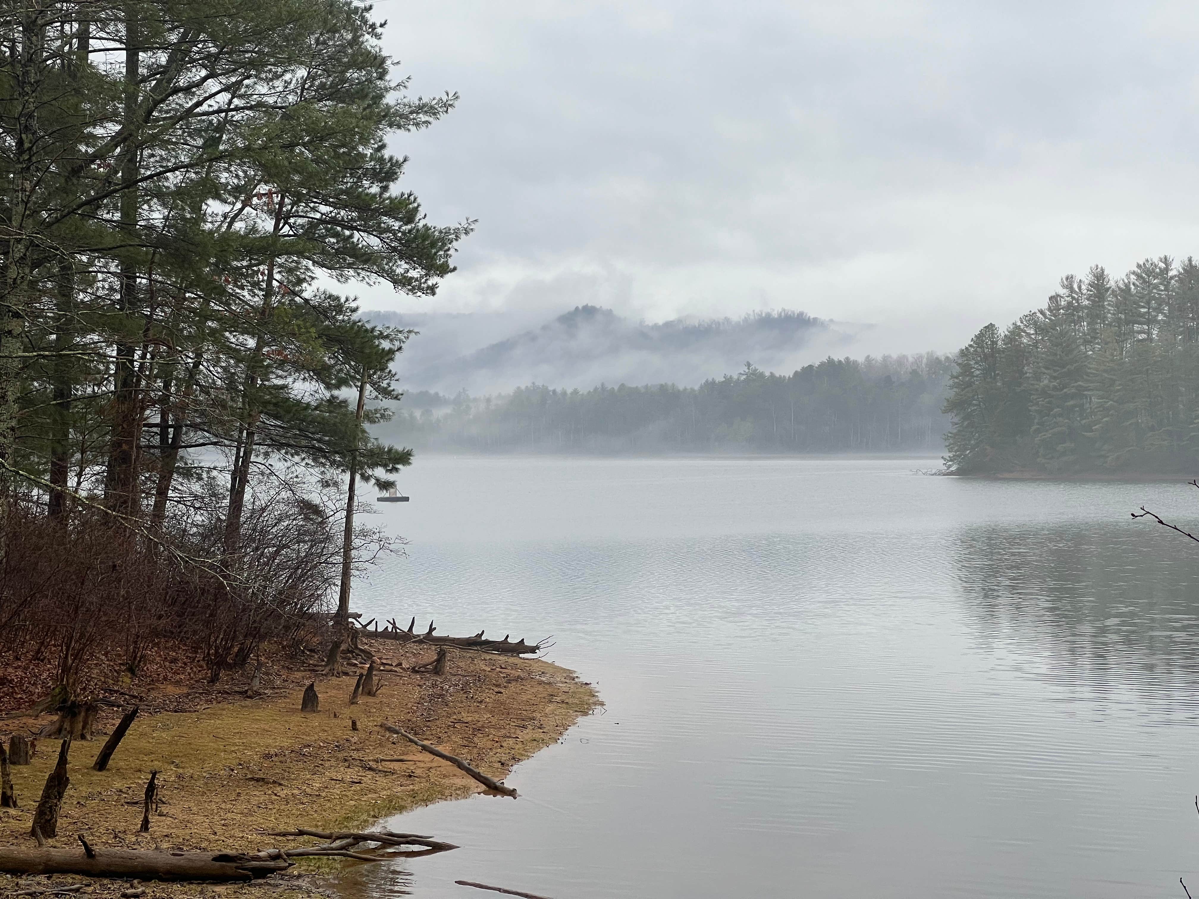 Camper submitted image from Santeetlah Lake Primitive - 2