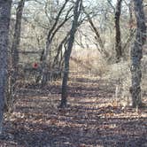 Review photo of Plateau — Lake Mineral Wells State Park by Chris K., September 30, 2018