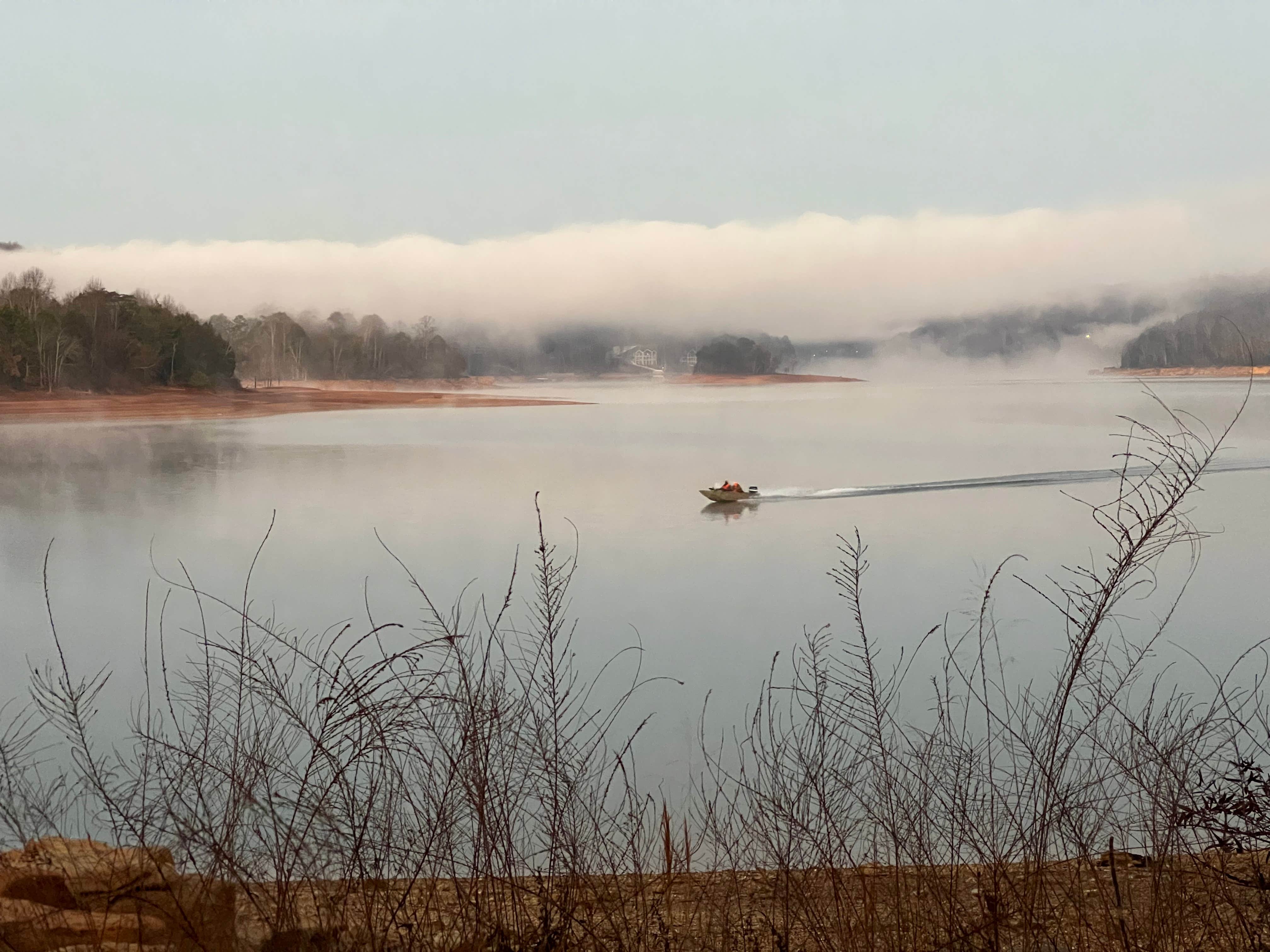 Camper-submitted photo at Santeetlah Lake Primitive near Tallassee, TN