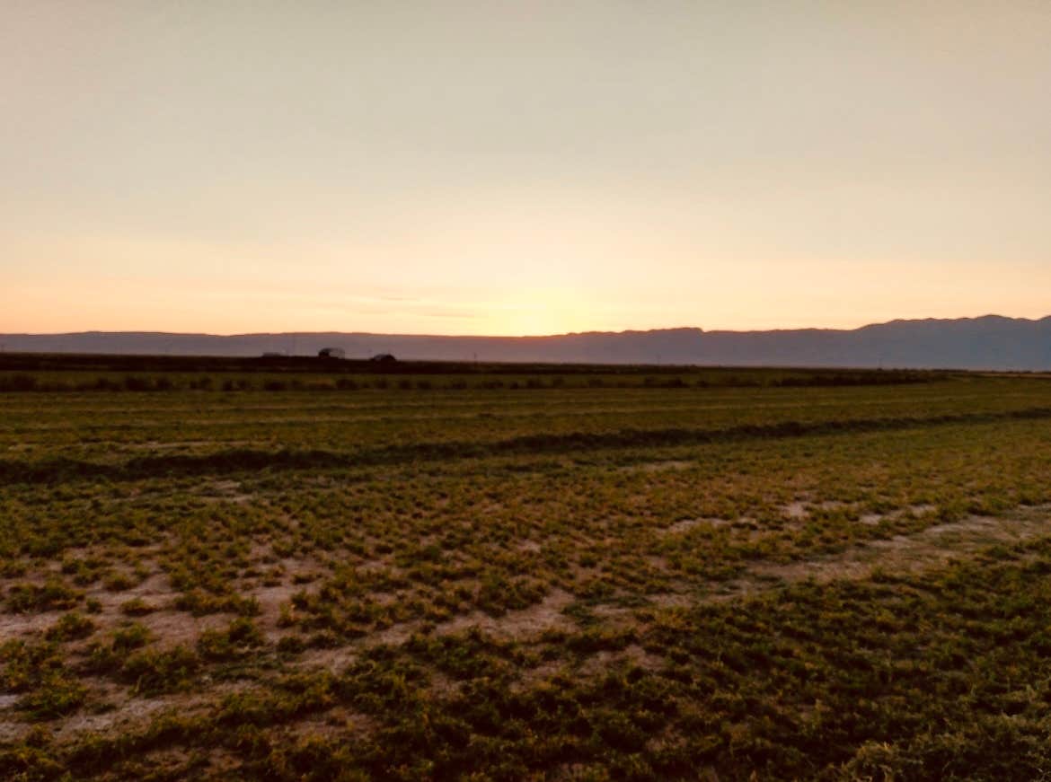 Aaron's photo of a dispersed camping area at The Radcliffe Family Homestead near Carlsbad Caverns, NM