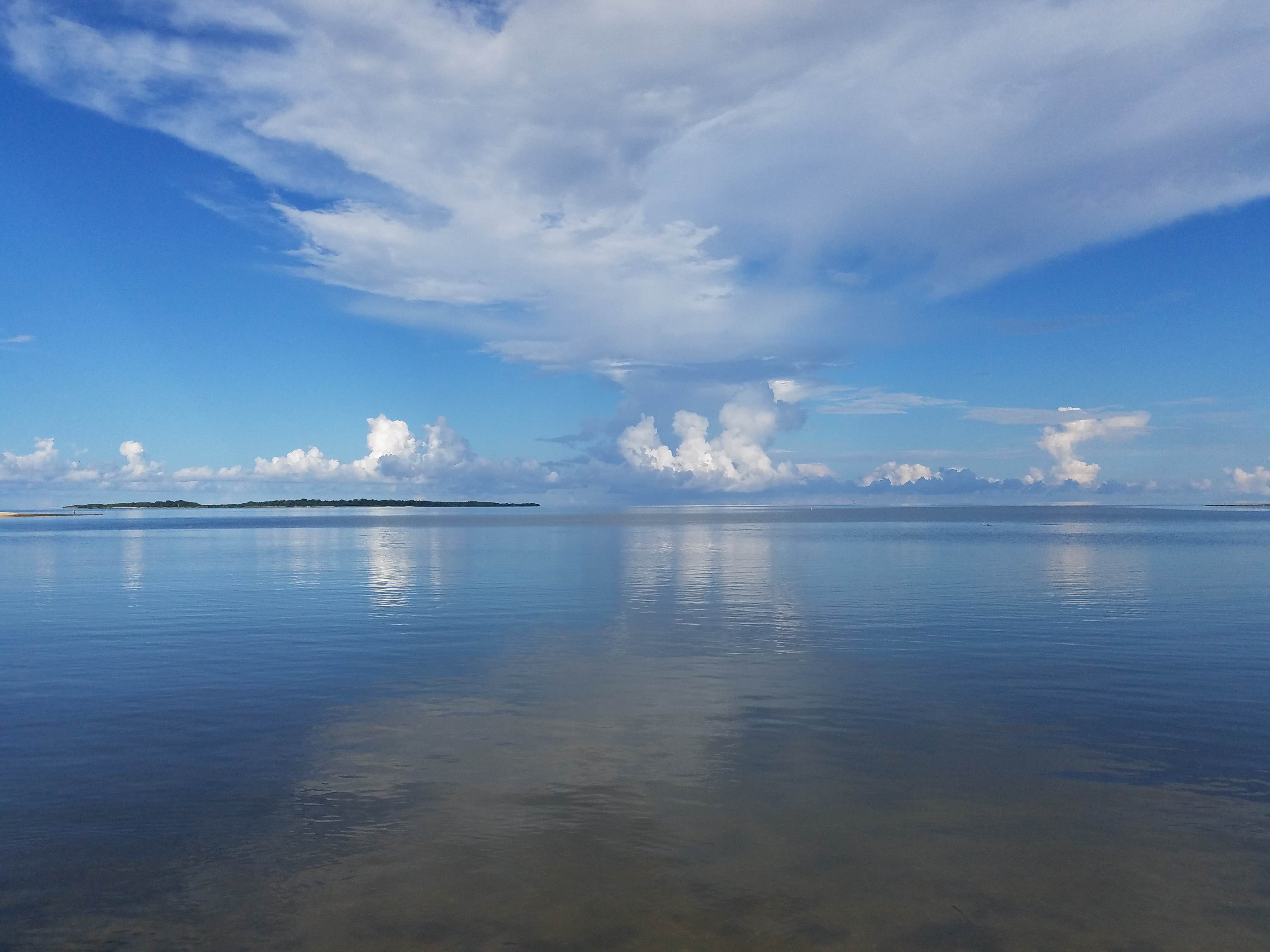 Camper-submitted photo at Cedar Blessings RV Park near Cedar Key, FL