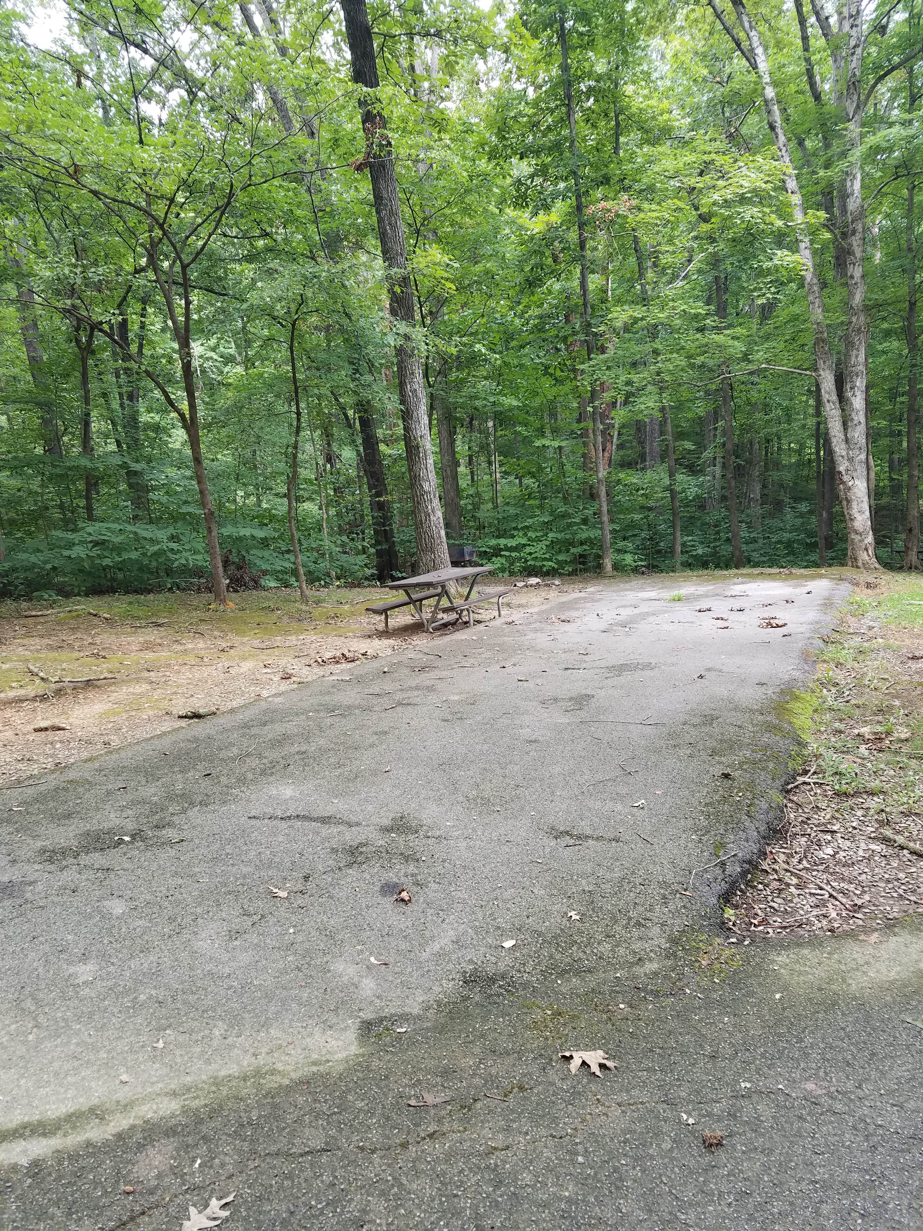 Camper submitted image from Lake Barkley State Resort Park - 2