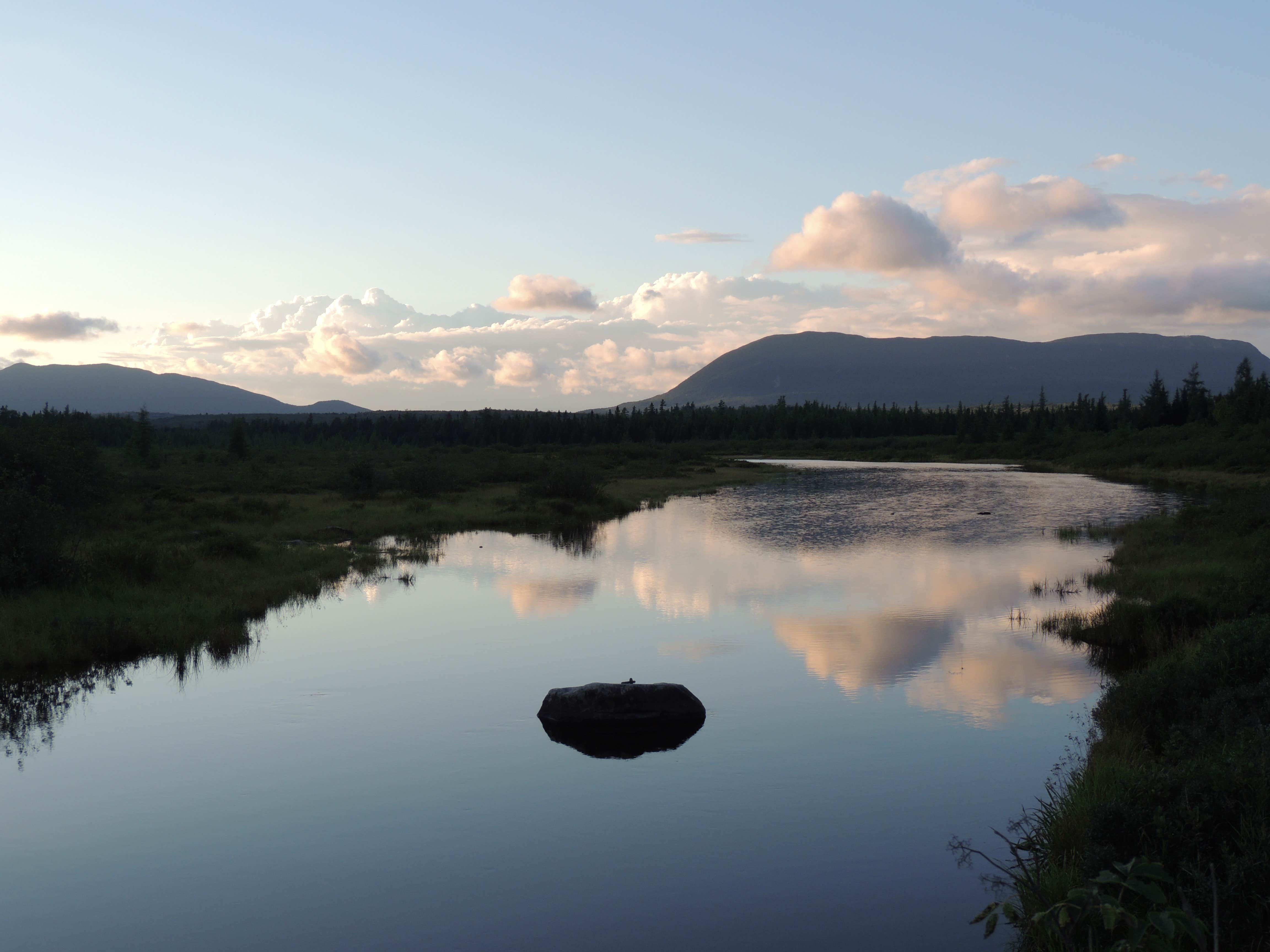 Tina D.'s photo of a dispersed camping area at Lazy Tom Bog Primitive Campsite in Maine