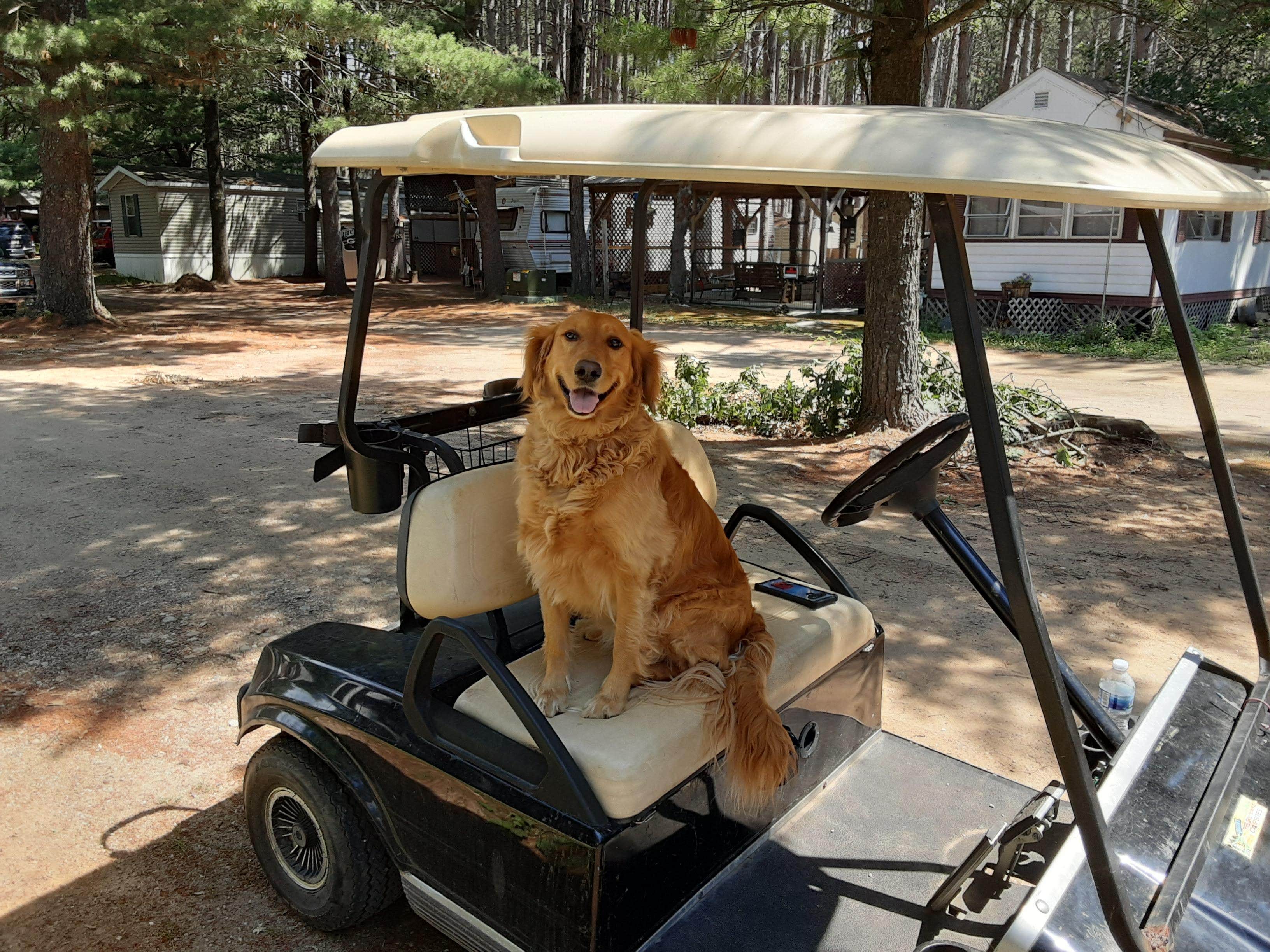 RJourney R.'s photo of camping with pets at Pearl Lake RV Campground near Appleton, WI