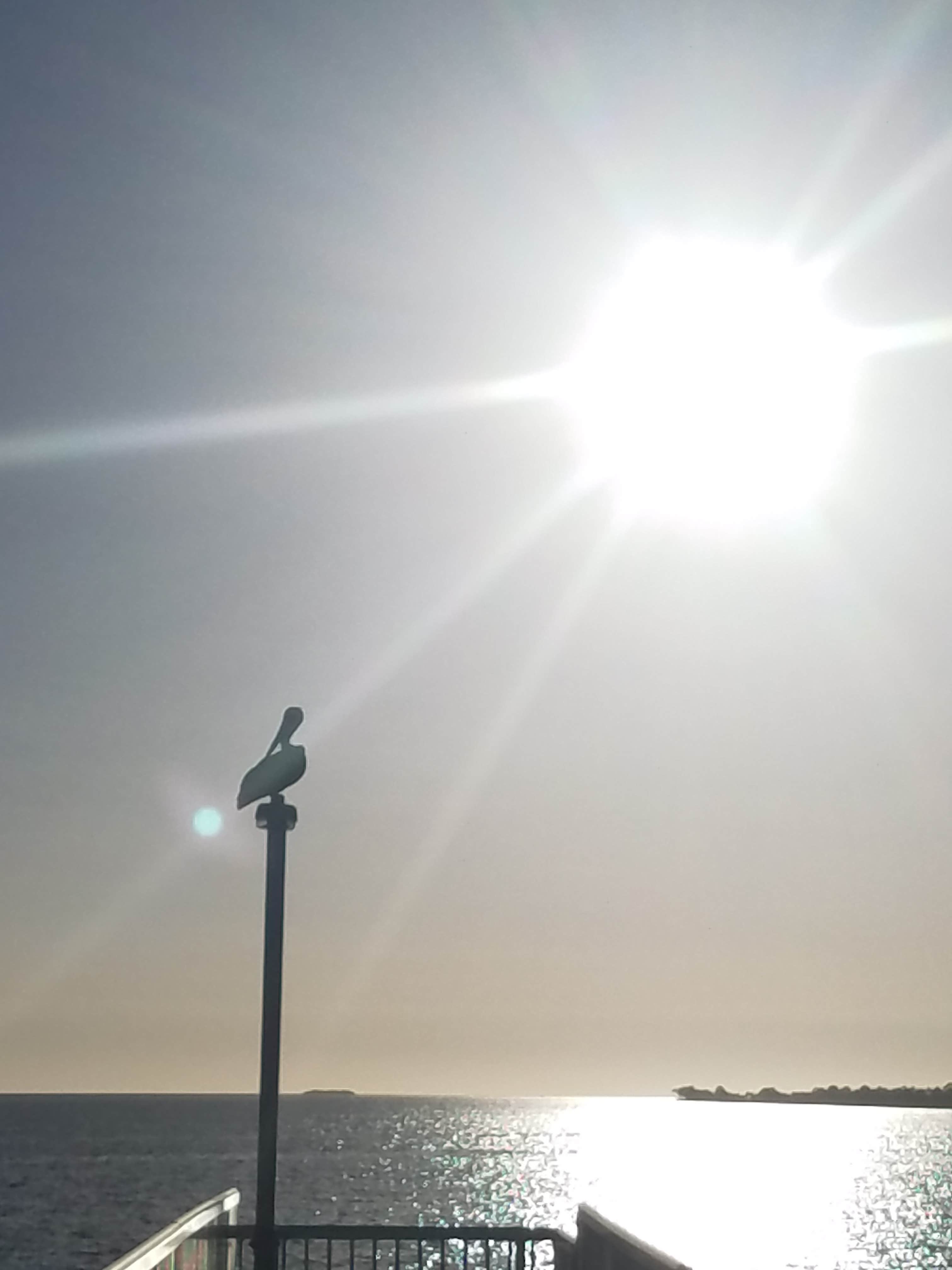 View All