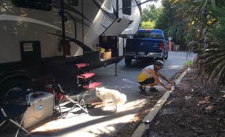 Darcy S.'s photo of camping with pets at Disney’s Fort Wilderness Resort & Campground near Windermere, FL