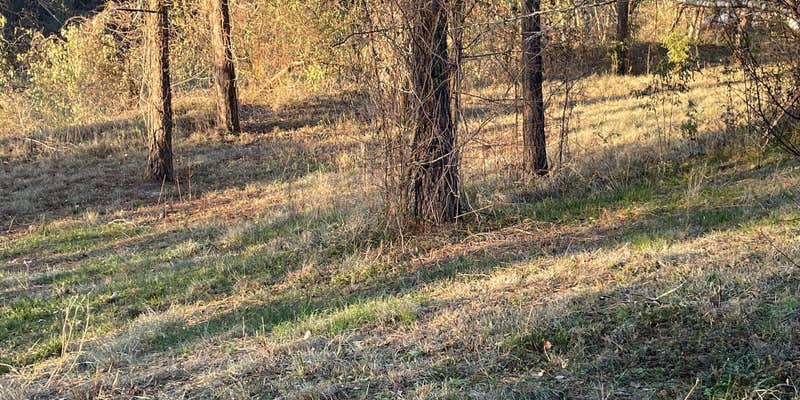 Camper submitted image from Mark and Bobby’s Island