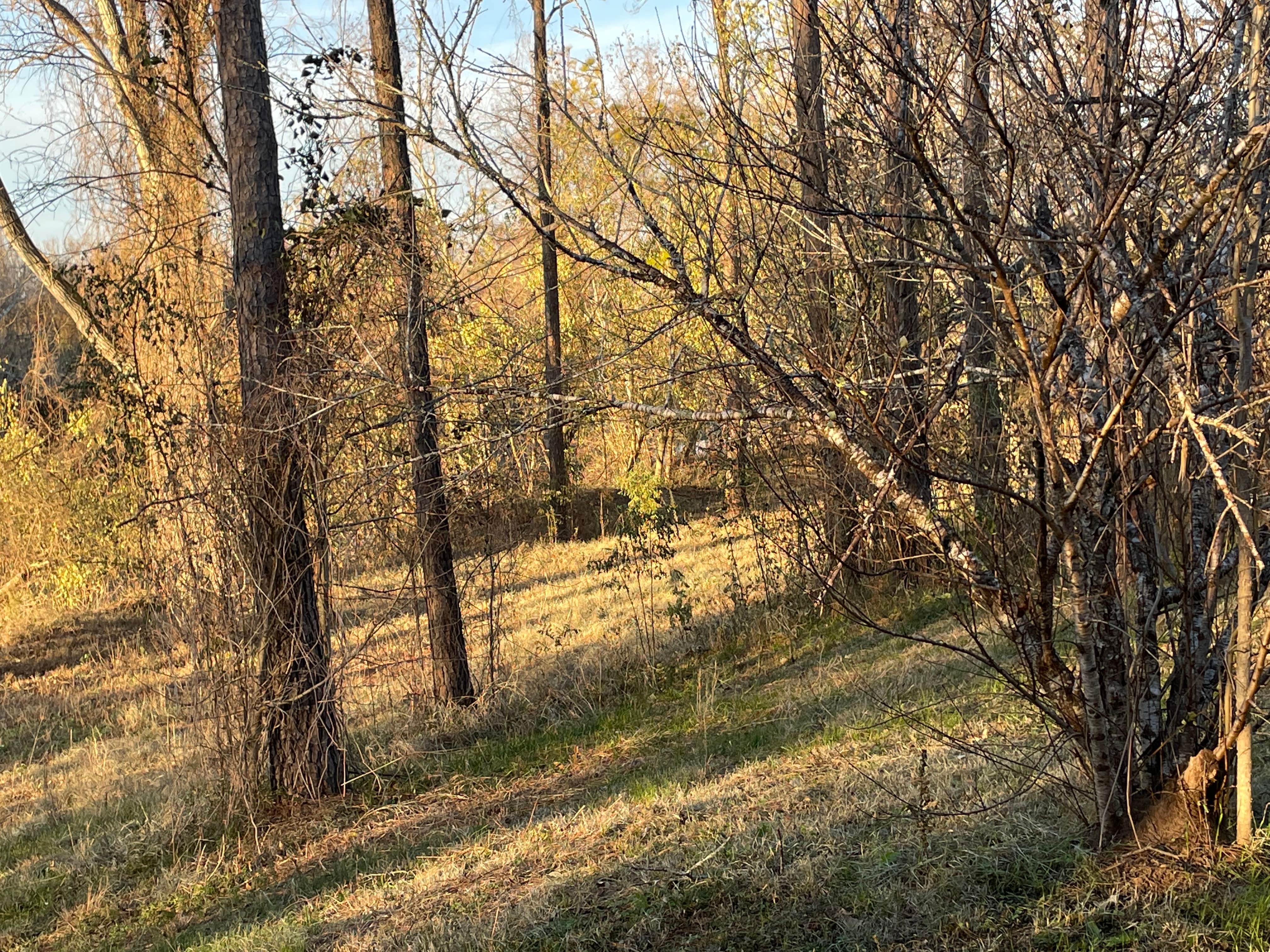 Camper-submitted photo at Mark and Bobby’s Island near Wharton, TX