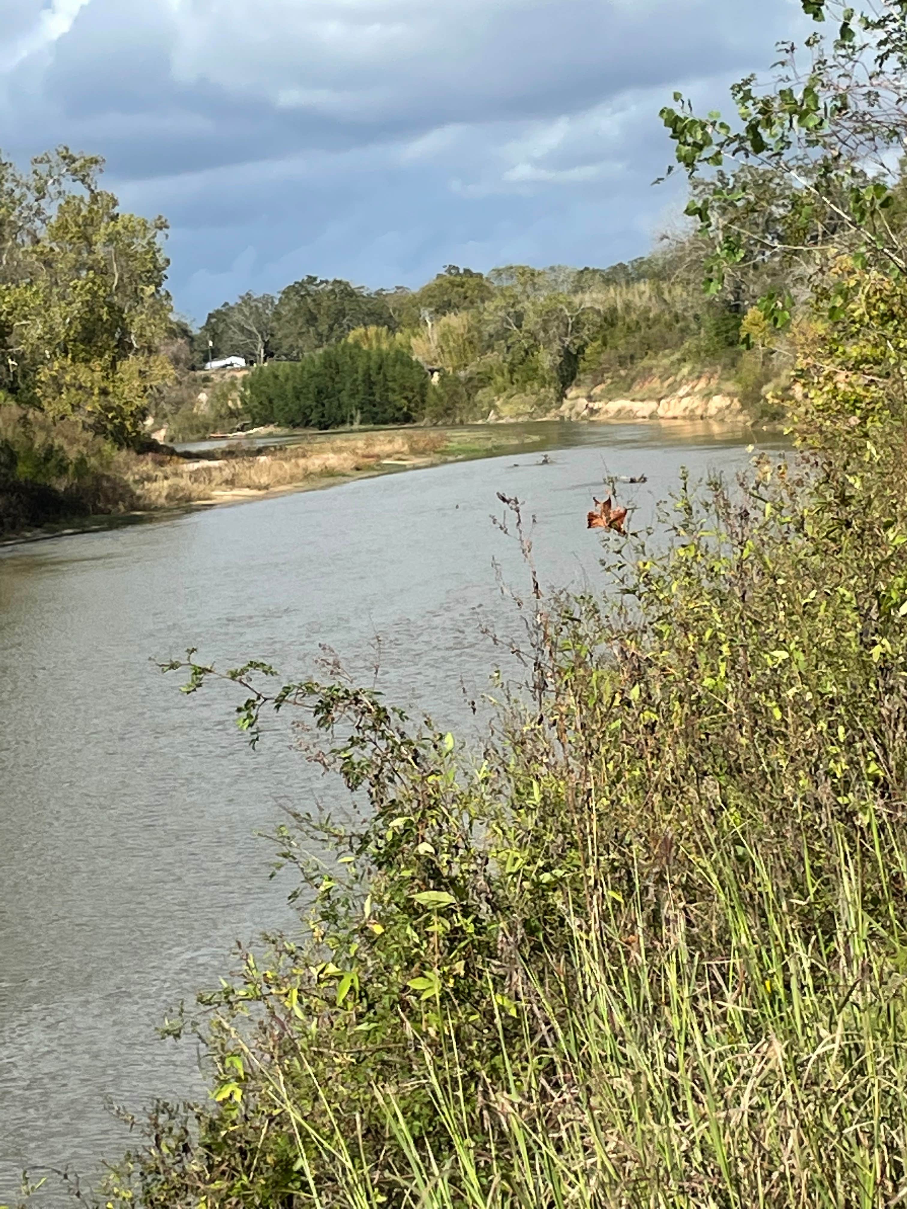 Camper-submitted photo at Mark and Bobby’s Island near Wharton, TX