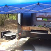 Review photo of Disney’s Fort Wilderness Resort & Campground by Darcy S., September 30, 2018