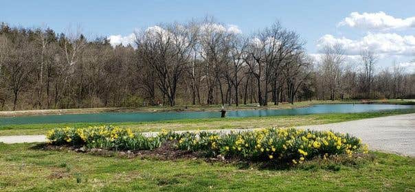 Camper-submitted photo at Pin Oak RV Park near Grover, MO