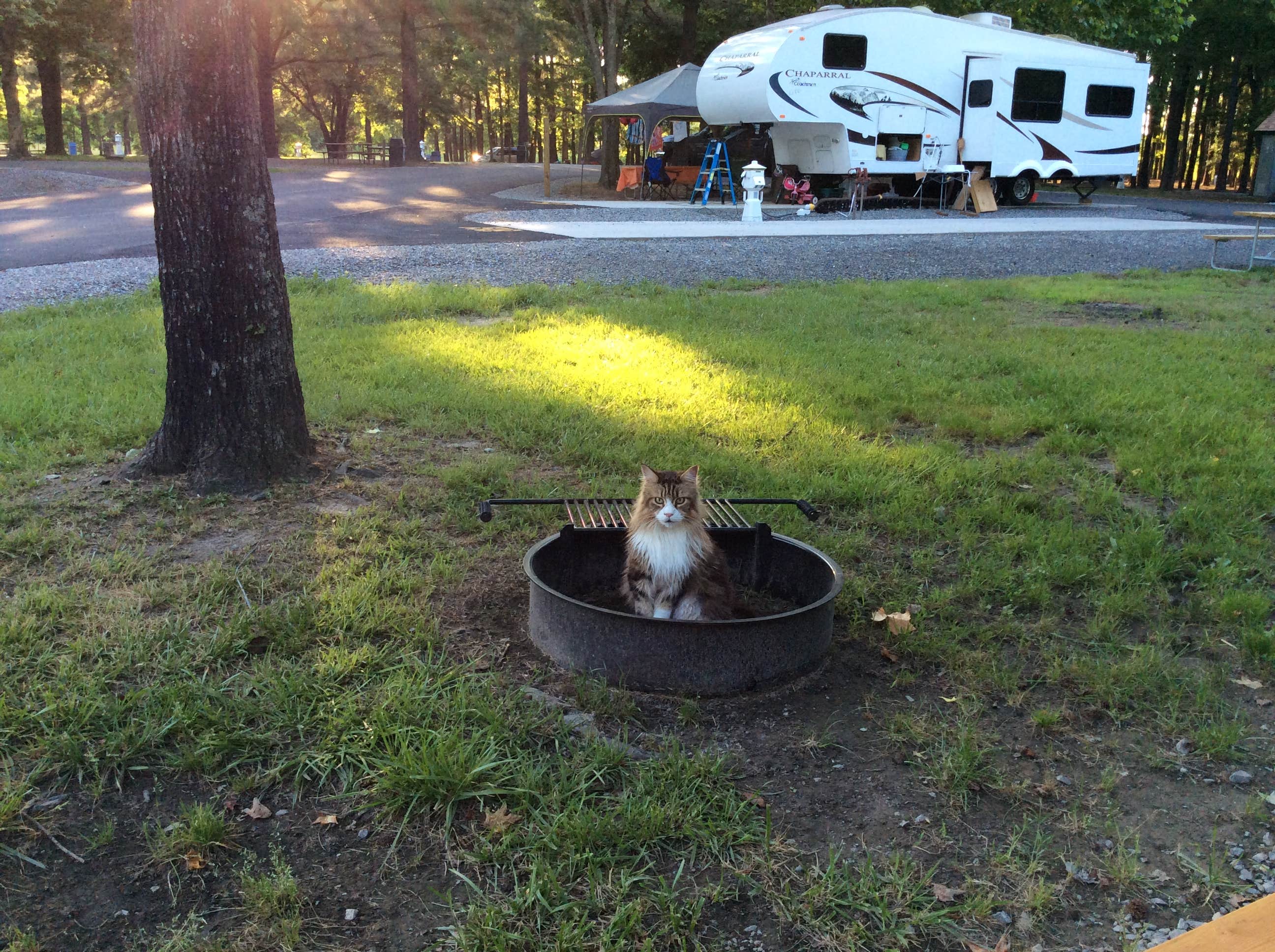 Darcy S.'s photo of rv camping at Richmond North - Kings Dominion KOA near Ruther Glen, VA