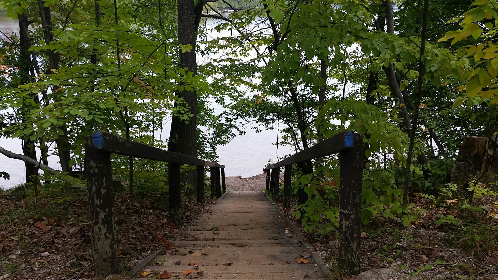 Camper submitted image from Lake Ann State Forest Campground - 2
