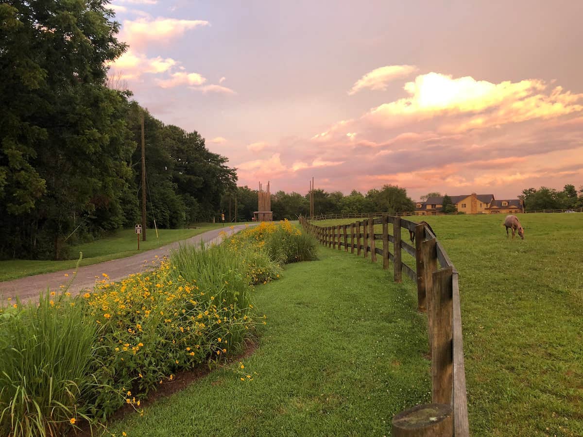 Camper-submitted photo at Camp Ondessonk near Herod, IL
