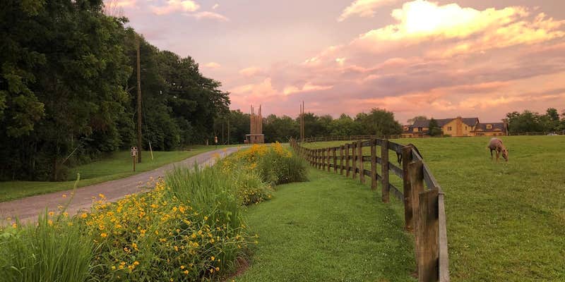 Camper submitted image from Camp Ondessonk