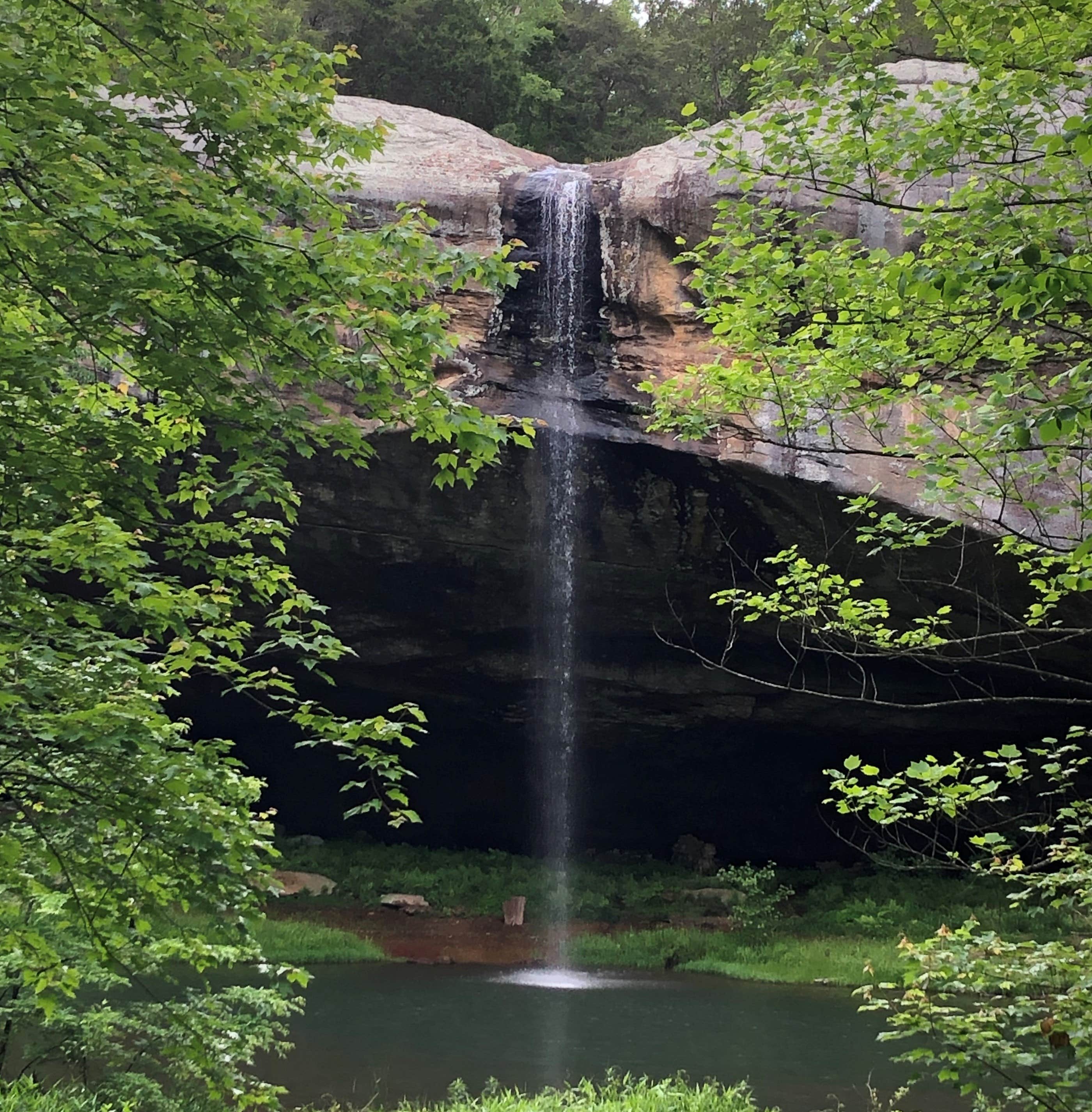 Camper-submitted photo at Camp Ondessonk near Herod, IL
