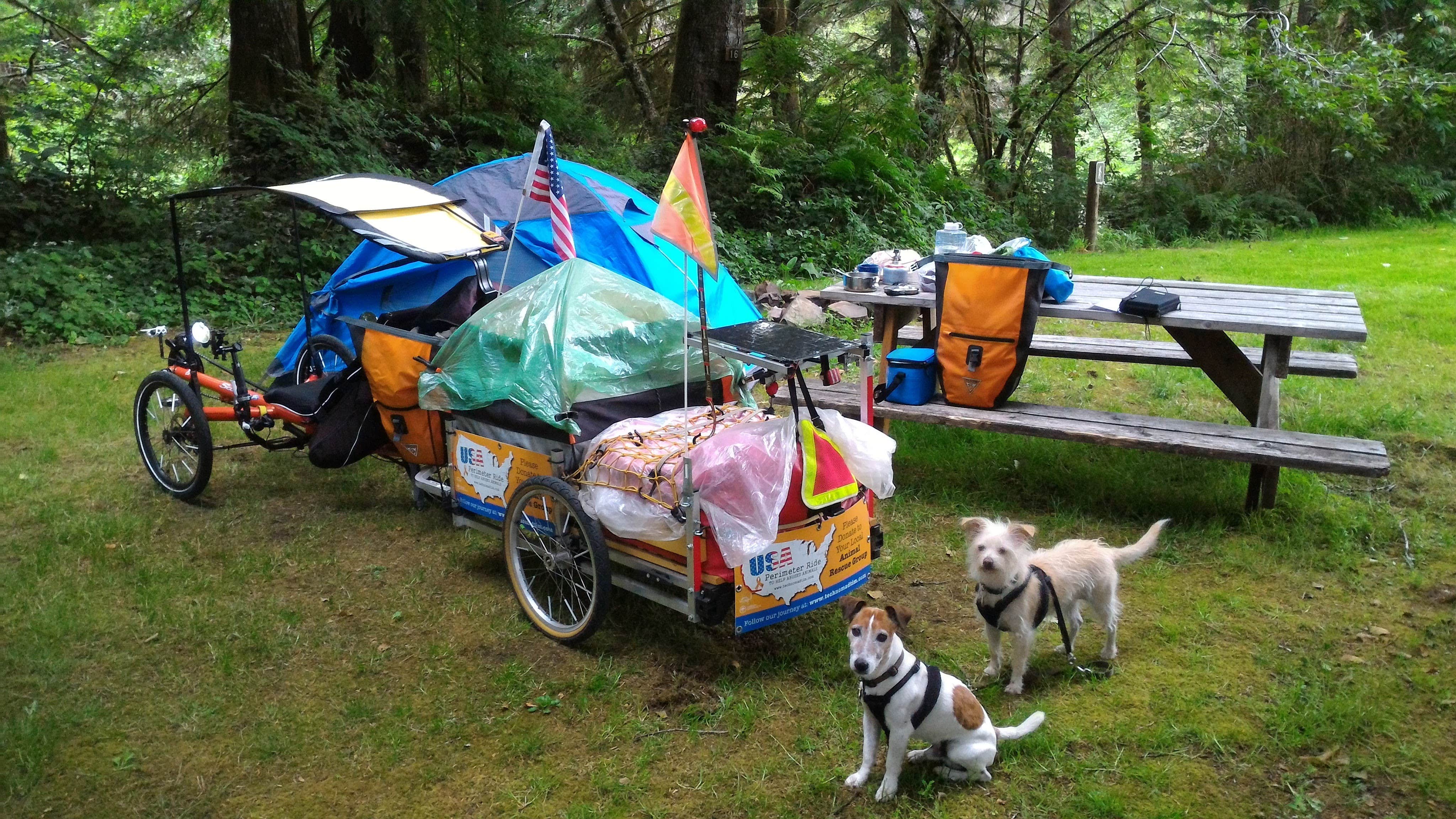 Tim J.'s photo of camping with pets at Artic Park near Raymond, WA