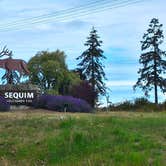 Review photo of Sequim Bay State Park Campground by Tim J., September 30, 2018