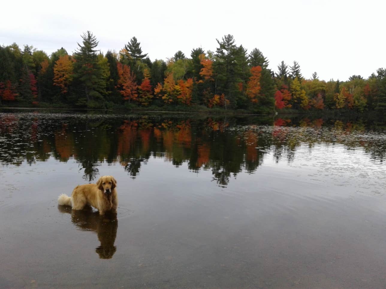 Camper submitted image from Ottawa National Forest - Marion Lake Campground - 3