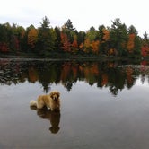 Review photo of Ottawa National Forest - Marion Lake Campground by Susan F., September 30, 2018