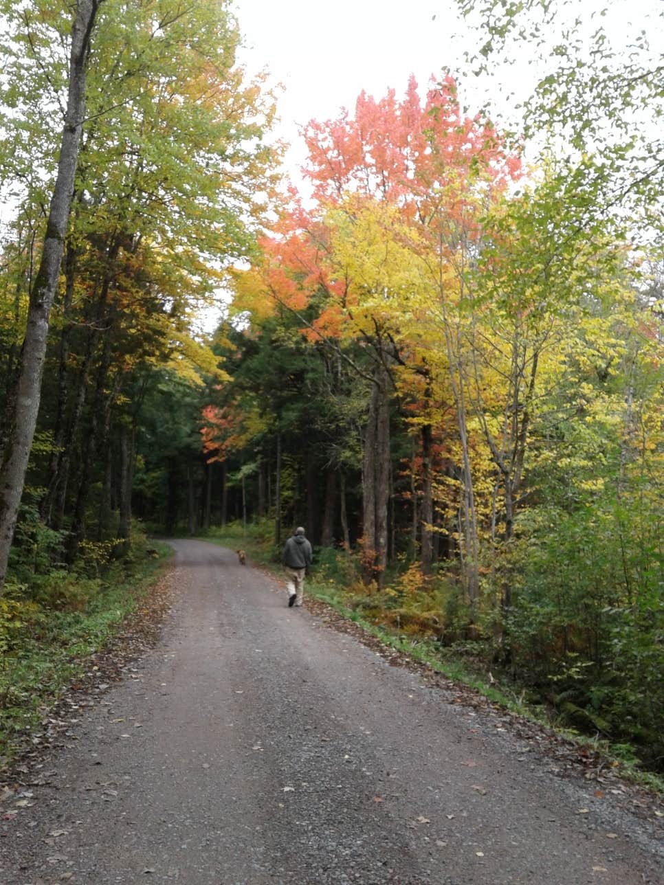 Camper-submitted photo at Ottawa National Forest - Marion Lake Campground near Trout Creek, MI