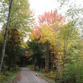 Review photo of Ottawa National Forest - Marion Lake Campground by Susan F., September 30, 2018