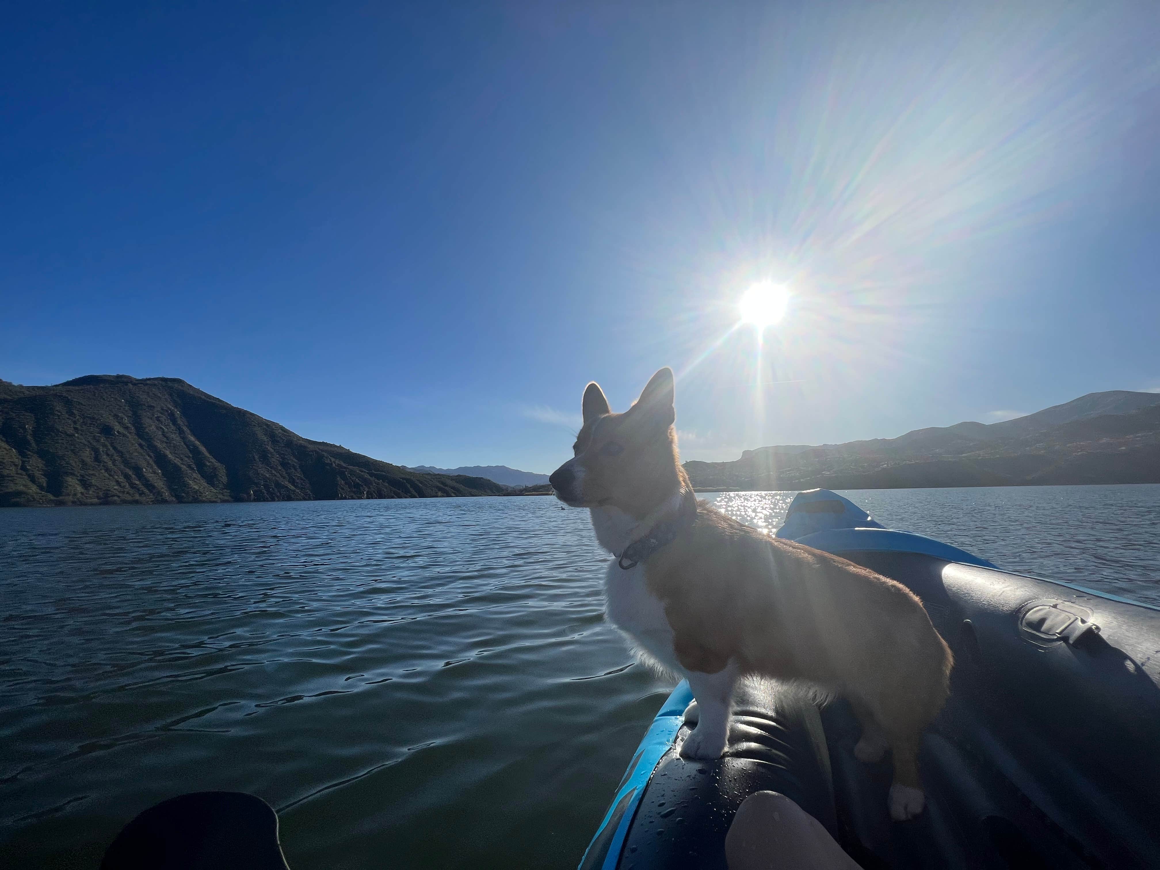 Sandra S.'s photo of camping with pets at Burnt Corral Campground near Tonto National Forest
