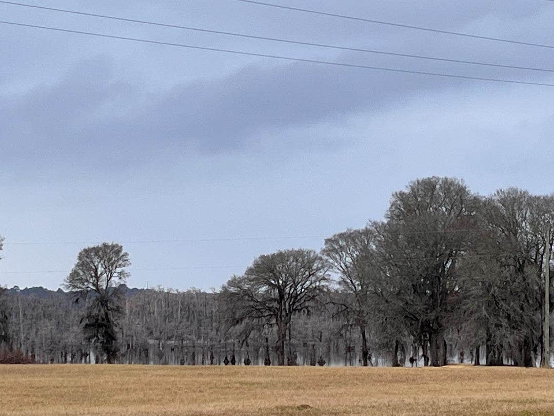 Camper-submitted photo at Lakeview Mobile home and RV park near Provencal, LA