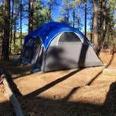 Review photo of Prescott National Forest Dispersed by Joffrey H., September 30, 2018