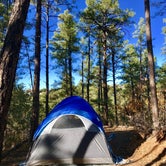 Review photo of Prescott National Forest Dispersed by Joffrey H., September 30, 2018