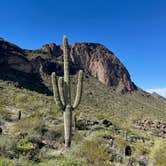 Review photo of Picacho Peak State Park Campground by Tadd B., February 22, 2023