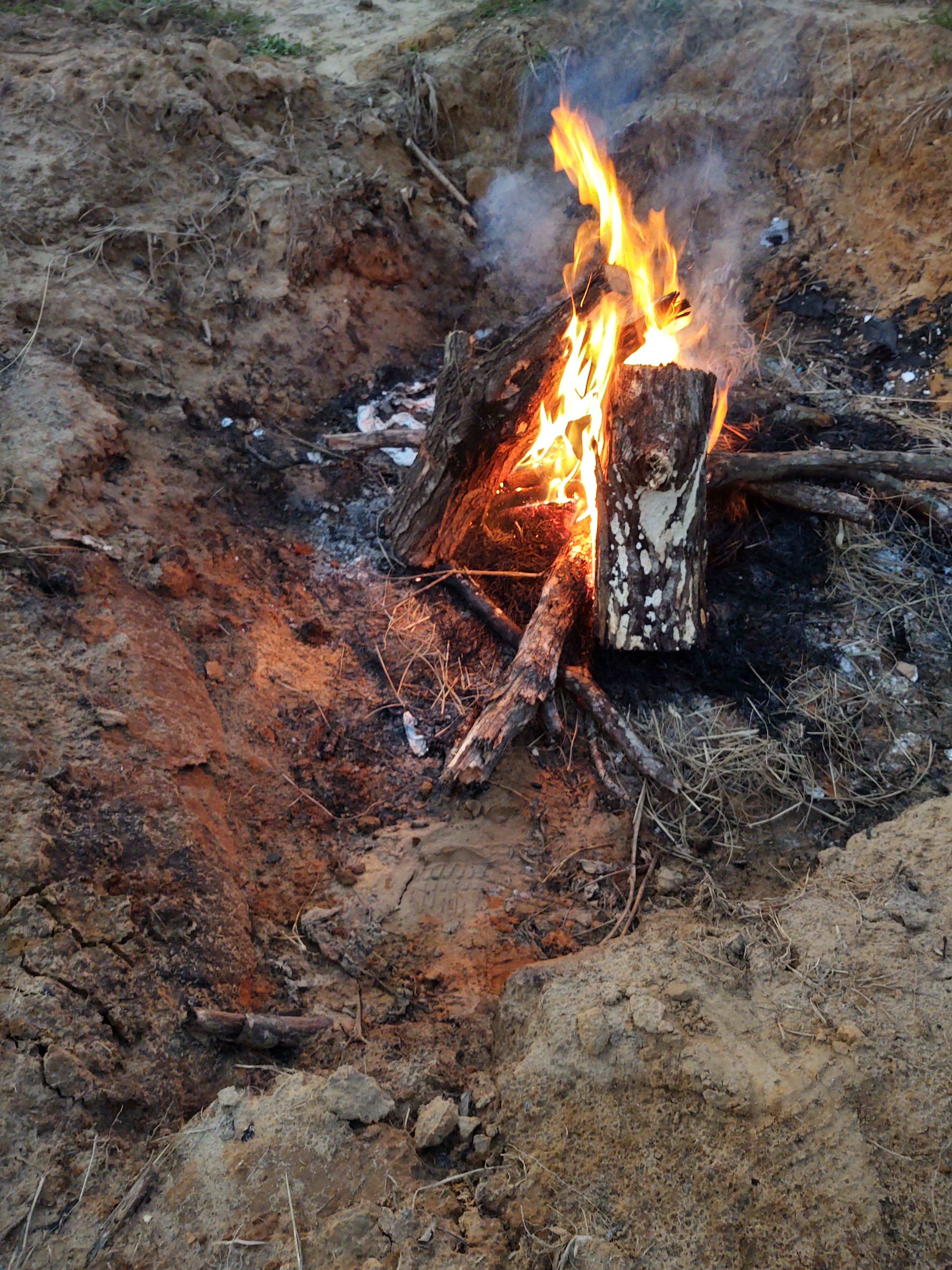 Camper-submitted photo at Poor But Proud Stables near Troy, AL