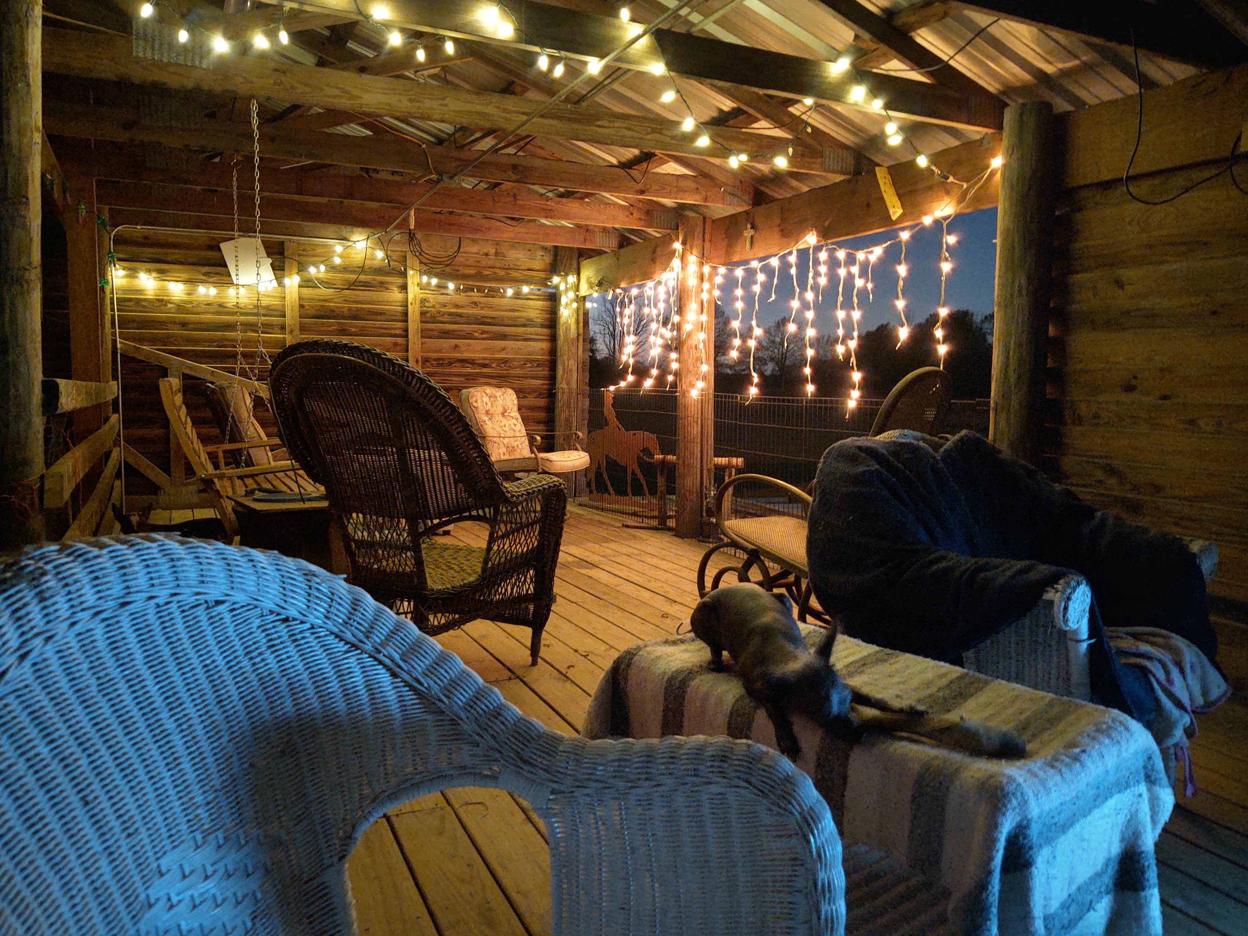 Camper-submitted photo at Poor But Proud Stables near Troy, AL