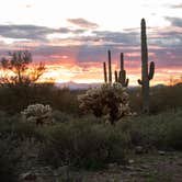 Review photo of Lost Dutchman State Park Campground by Tara S., February 22, 2023