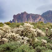 Review photo of Lost Dutchman State Park Campground by Tara S., February 22, 2023