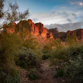 Review photo of Lost Dutchman State Park Campground by Tara S., February 22, 2023