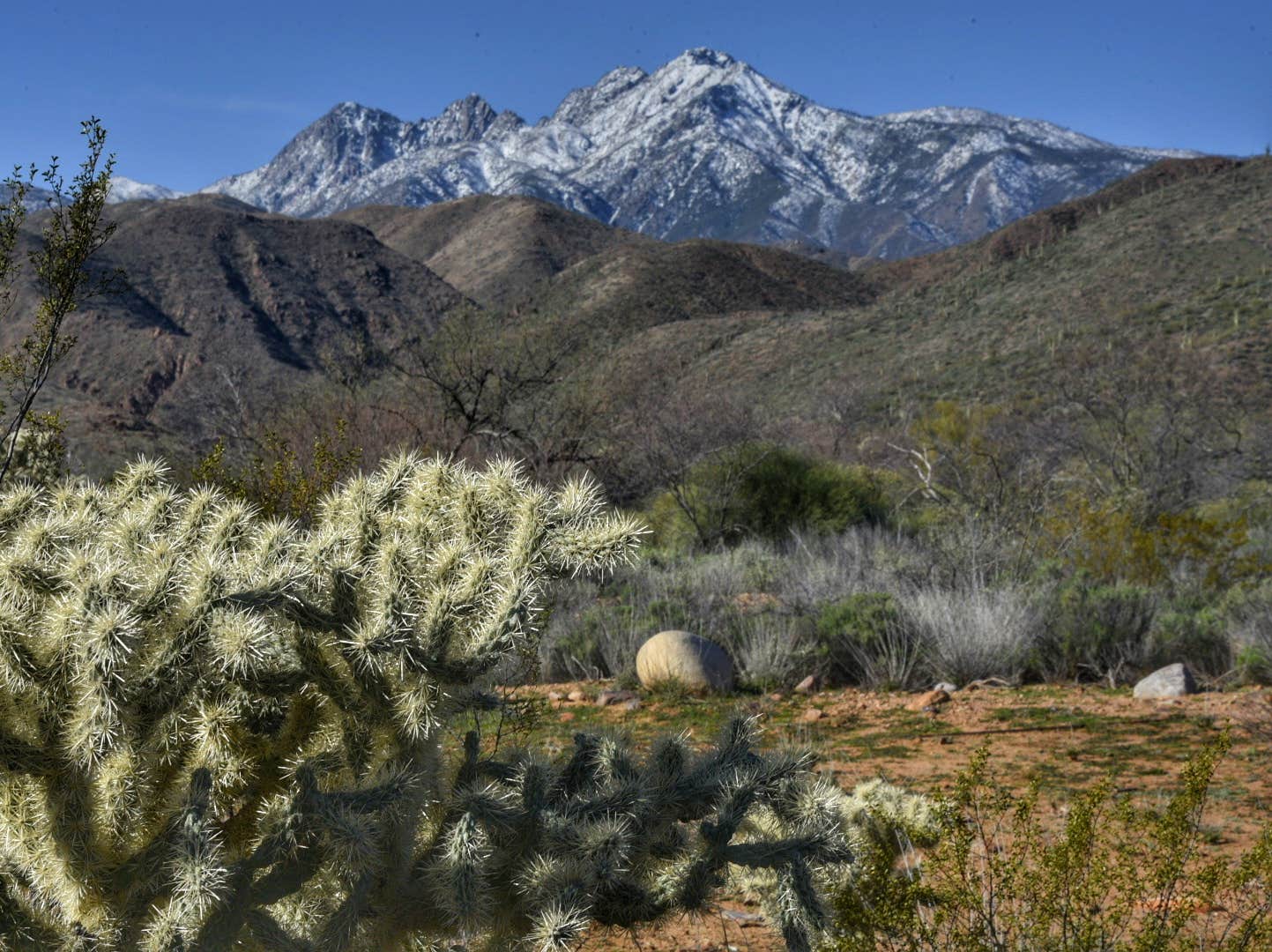 Camper-submitted photo at Roosevelt Lake - Cholla Campground near Tonto National Forest