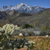 Review photo of Roosevelt Lake - Cholla Campground by Tara S., February 22, 2023